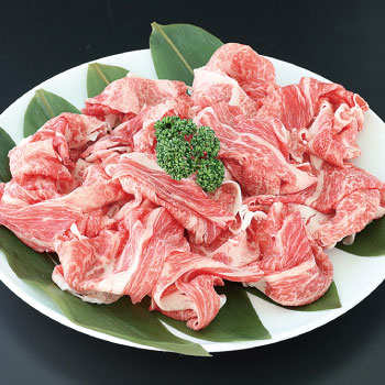 【佐賀牛】切り落とし /500g